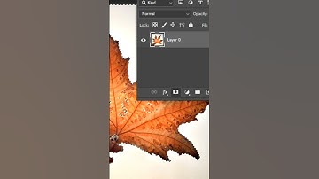 Easy Way to Remove Background - Short Photoshop Tutorial