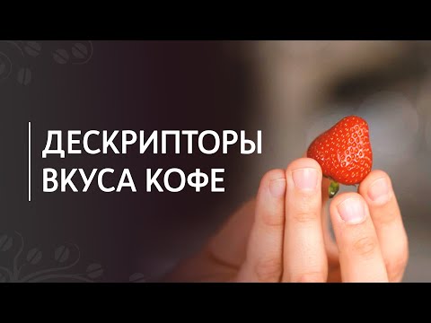 Кофейные дескрипторы: как находить и описывать вкусы в кофе