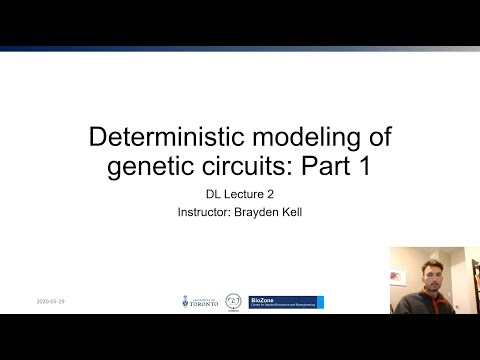 SYNB0.DL2_Deterministic Modelling of Genetic Circuits