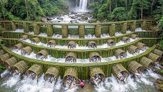 Full Beautiful Young Woman Harvests a Ton of Fish from a Natural River and Takes Them to Market for Sale Guide