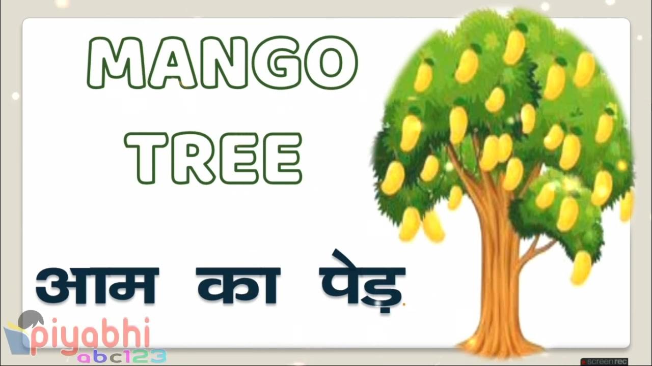 Trees name in hindi and english, Tree name list...treesname YouTube