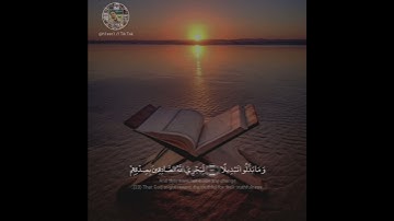 القارئ الحجاج الهنداوي الذي فعل ما لا يفعلهُ كبار القراء .. مقطع مليئ بالجماال .😍💚💯 #الحجاج_الهنداوي