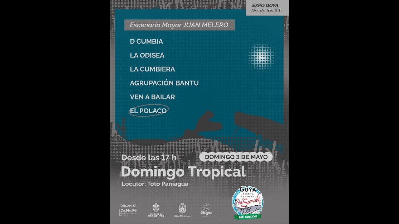 FIESTA NACIONAL DEL SURUBÍ