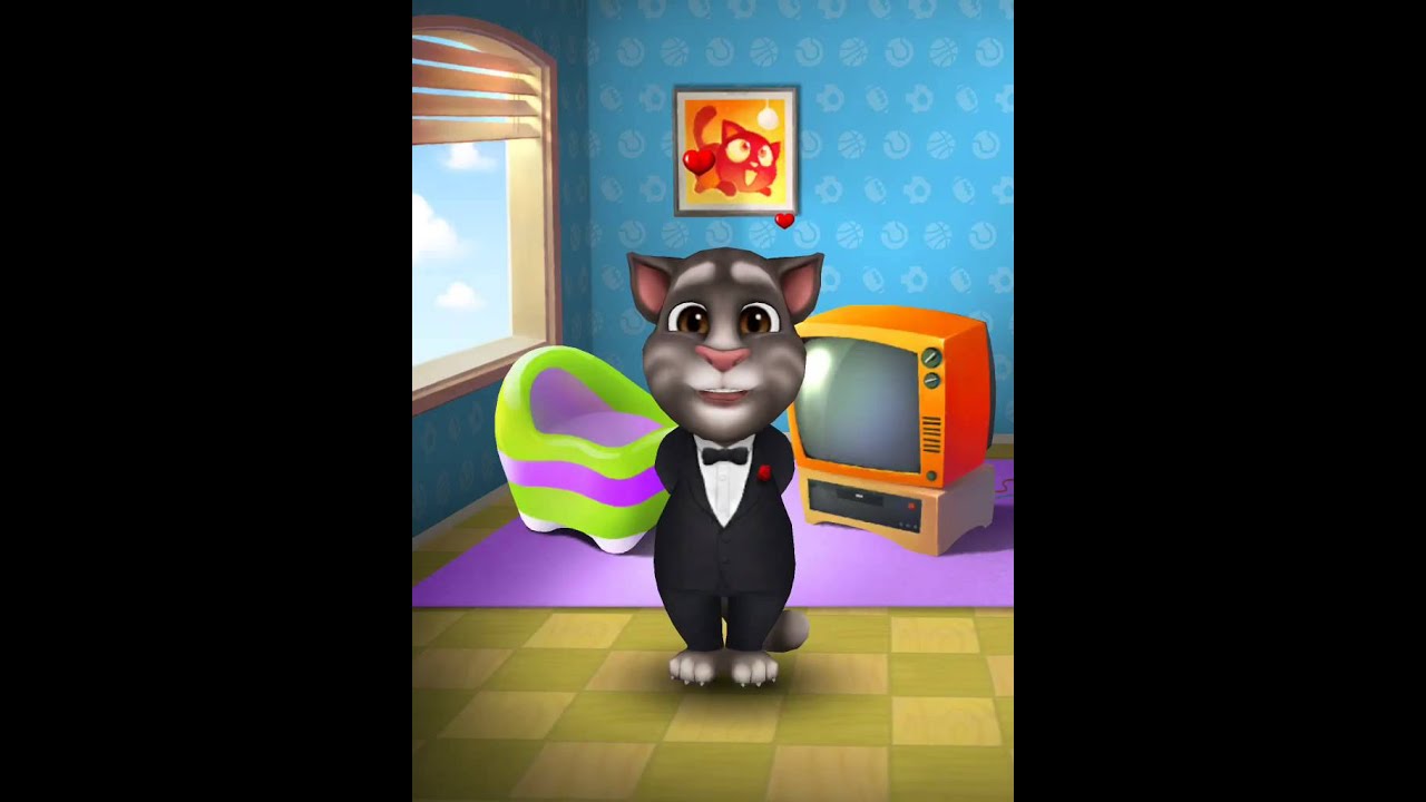 Talking tom gameplay. My talking Tom. Talking Tom игры. Talking Tom Мозгопуки. Тома геймплей.