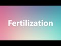 Fertilization - Medical Meaning and Pronunciation