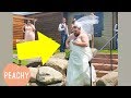 These Wedding Fails Will Have You Crying-Laughing