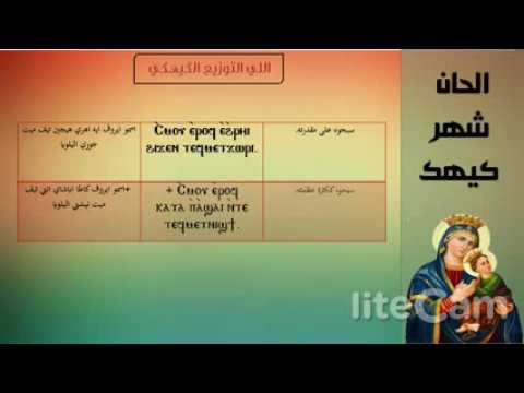 اللي التوزيع الكيهكي بالهزات        