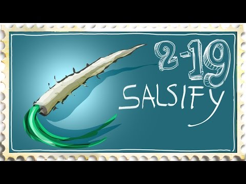 Видео: Salsify тарих: Салсыг цэцэрлэгийн ургамал болгон ургуулах