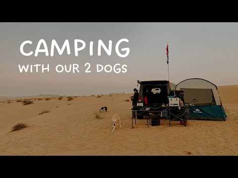 Desert Camping with Our 2 Dogs | Camping in Dubai