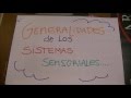 Generalidades de los sistemas sensoriales