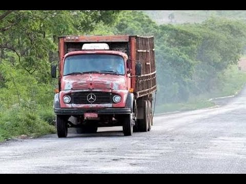 O Real sonho de ser caminhoneiro diesel cologne