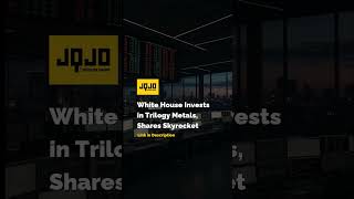 White House Invests in Trilogy Metals, Shares Skyrocket