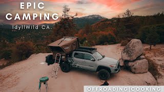 BEST CAMPING IN CALIFORNIA | Idyllwild Camping | Tacoma Overlanding