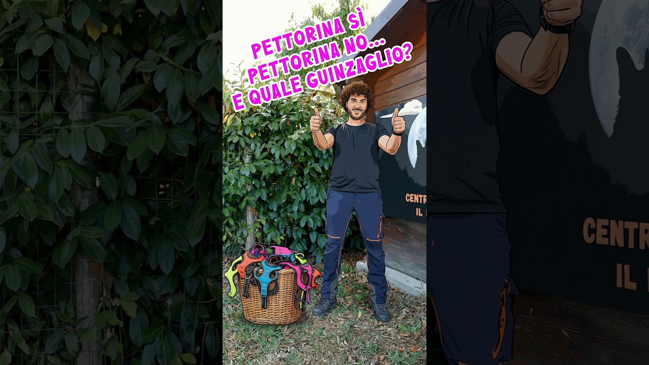 𝐆𝐮𝐢𝐧𝐳𝐚𝐠𝐥𝐢𝐨, 𝐜𝐨𝐥𝐥𝐚𝐫𝐞 𝐨 𝐩𝐞𝐭𝐭𝐨𝐫𝐢𝐧𝐚? 𝐋𝐚 𝐬𝐜𝐞𝐥𝐭𝐚 𝐟𝐚 𝐥𝐚 𝐝𝐢𝐟𝐟𝐞𝐫𝐞𝐧𝐳𝐚!