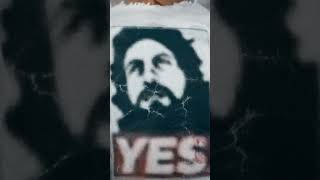 Daniel Bryan t-shirt#short