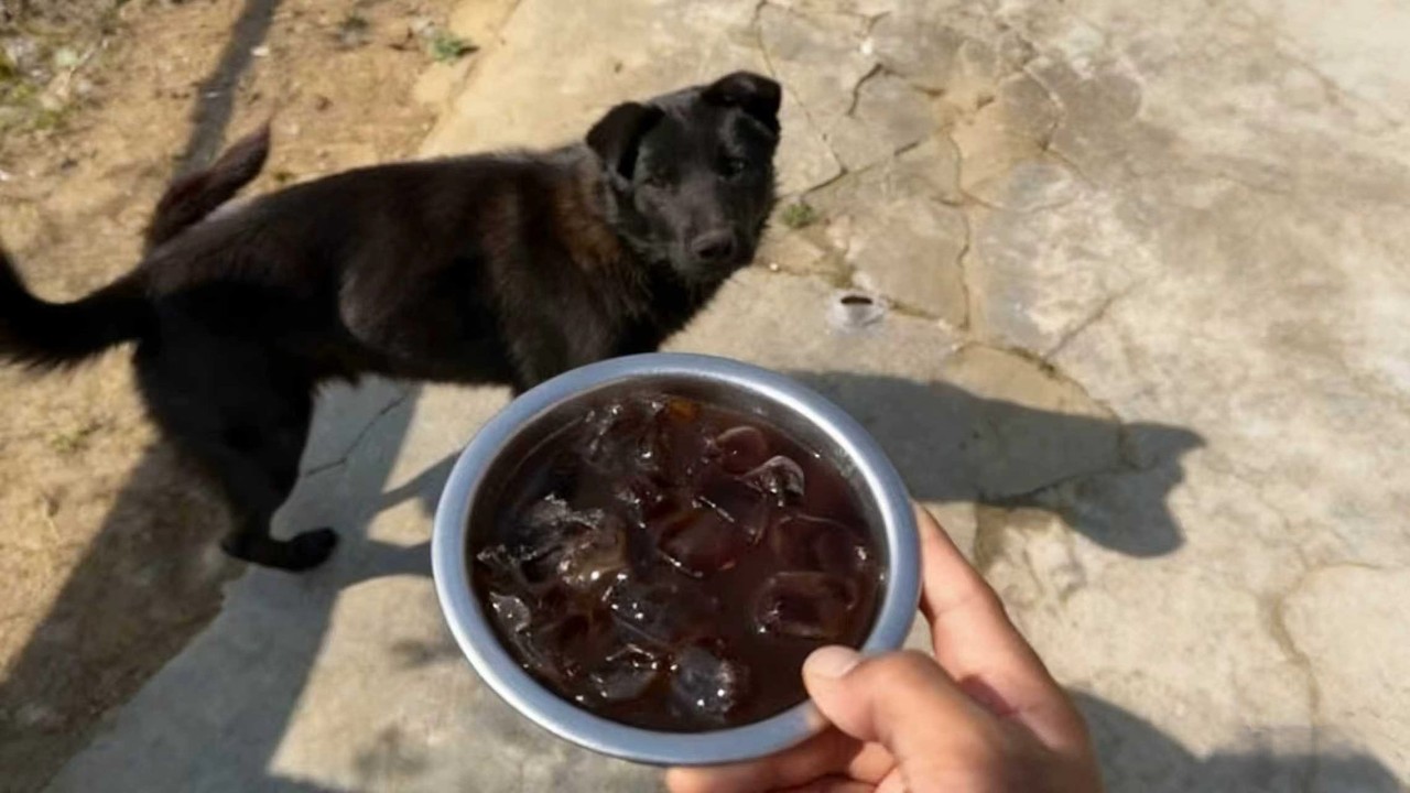 农村狗不理咖啡，试试炒黄豆冰“中式” 万物皆可咖啡，炒黄豆冰中式咖啡#黄豆咖啡 #冰中式