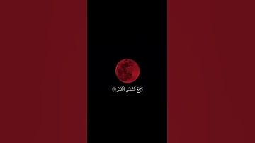 #قرآن كريم#قران كريم بصوت جميل#قران کریم🫀#قران صوت راحه نفسيه#﷽ القران الكريم#صوت قران يخشع القلوب