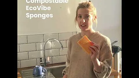 EcoVibe Compostable Sponges
