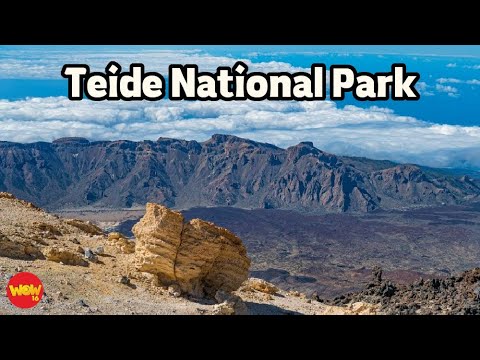 Bird Cage -Dylan Sitts (Teide National Park) 810