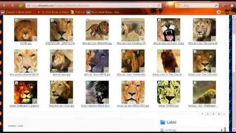 Hebrew Graphics 4shared com Tutorial