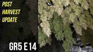 Post Harvest Update - GR5 E14