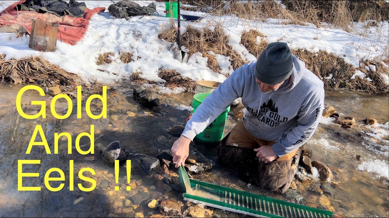 Удивительное золото и мы нашли УГРЕЙ!