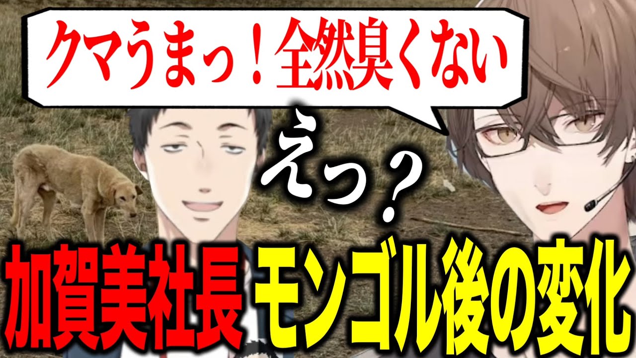 クレアさんの逆凸、モンゴルの犬新規ビジュ公開、帰国後やしきずとの食事で変わった自分に気づいた加賀美社長【にじさんじ切り抜き/加賀美ハヤト】