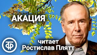 Ростислав Плятт 