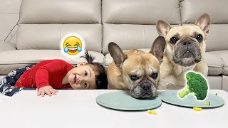 My Baby Tries Our Dogs Favorite Food ** FUNNIEST TASTE TEST