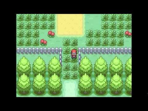 Como chegar a Pewter City