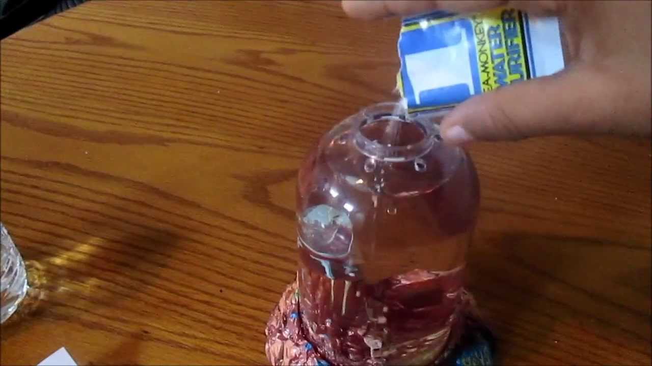 Sea Monkeys On Mars Day 1 (Water Purifier) YouTube