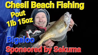 Chesil Beach Fishing Cod Fishing Shore Fishing Zziplex M4gt Abu 6500i Tsr Southcoast United Kingdom