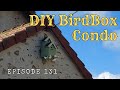 Ep 131  we fit the four house birdbox  diy project  french farmhouse life