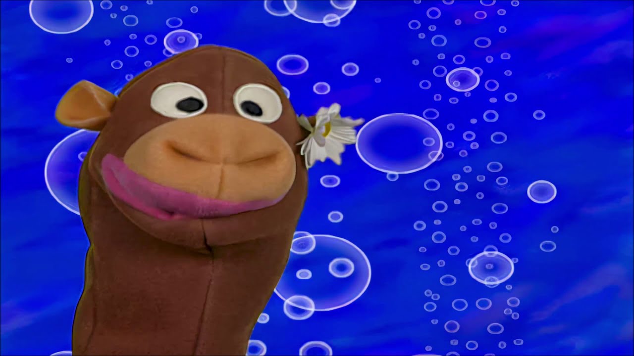 Baby Einstein World Animals In The Deep Blue Sea Classical Animals Version Youtube Baby Einstein Blue Sea Deep Blue Sea