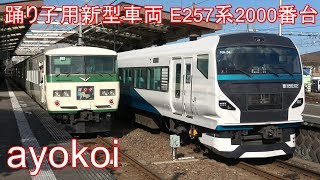 特急「踊り子」用新型車両 E257系2000番台 伊豆急線内