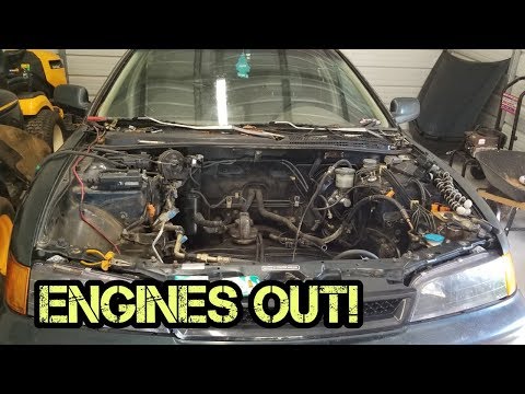 CD Accord Wagon F20b Swap Part 1 | Engine Removal