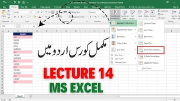 Conditional Formatting Highlight Cell Rules Text that Contains in Excel