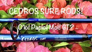 Cedros Surf Rods! Catching O'io! Papio! Moi! GT? 