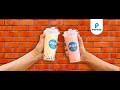 Project Success Poptos Nadiad I IT infrastructure for Pizza Chain Store