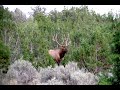 IDAHO ARCHERY ELK HUNT