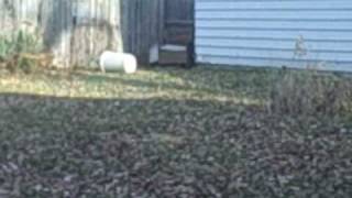 2254 Brookside Ave, Outside        317-223-3195