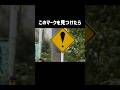 ビックリマークの標識にまつわる噂 車 車好き 車好きと繋がりたい 車屋 車の雑学 車の豆知識 雑学 都市伝説 ホラー 標識