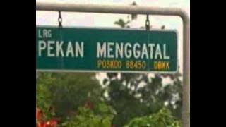 Menggatal Telipok.avi