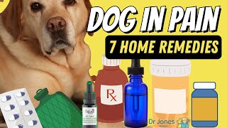 Dog in Pain: 7 Effective Home Remedies