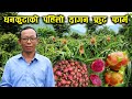 धनकुटाको पहिलो व्यवसायिक ड्रागन फ्रुट फार्म - Dragon fruit farming in Nepal