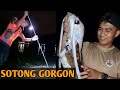 Membujak jam 3 pagi dapat sotong dan pari gorgon