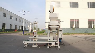 DCS 50B bagging scale system