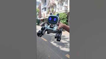 Chó robot điều khiển từ xa