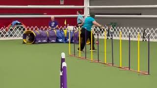 Camille, Preferred Jww 4 August 2024