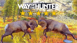 How many 5 stars can we get?! | Way of the Hunter